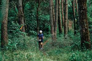 BIB: 
                            <button type="button" onclick="openModal(25236271)" class="btn btn-primary btn-sm float-right btn-popup" data-toggle="modal" data-target=".modal-high-quality">
                        <i class="fas fa-shopping-cart"></i> Add to Cart
                    </button>
                                            <button type="button" onclick="isThisMe(25236271, true)" class="btn btn-success btn-sm float-right btn-popup btn-isme hidden" data-toggle="tooltip" data-placement="bottom" title="นี่คือรูปของคุณใช่ไหม คลิกที่นี่เพื่อเอาเข้าอัลบั้ม">
                        <i class="fas fa-plus"></i> Add to album
                    </button>
                    <button type="button" onclick="isThisMe(25236271, false)" class="btn btn-warning btn-sm float-right btn-popup btn-isnotme hidden">
                        <i class="fas fa-ban"></i> Remove from album
                    </button>